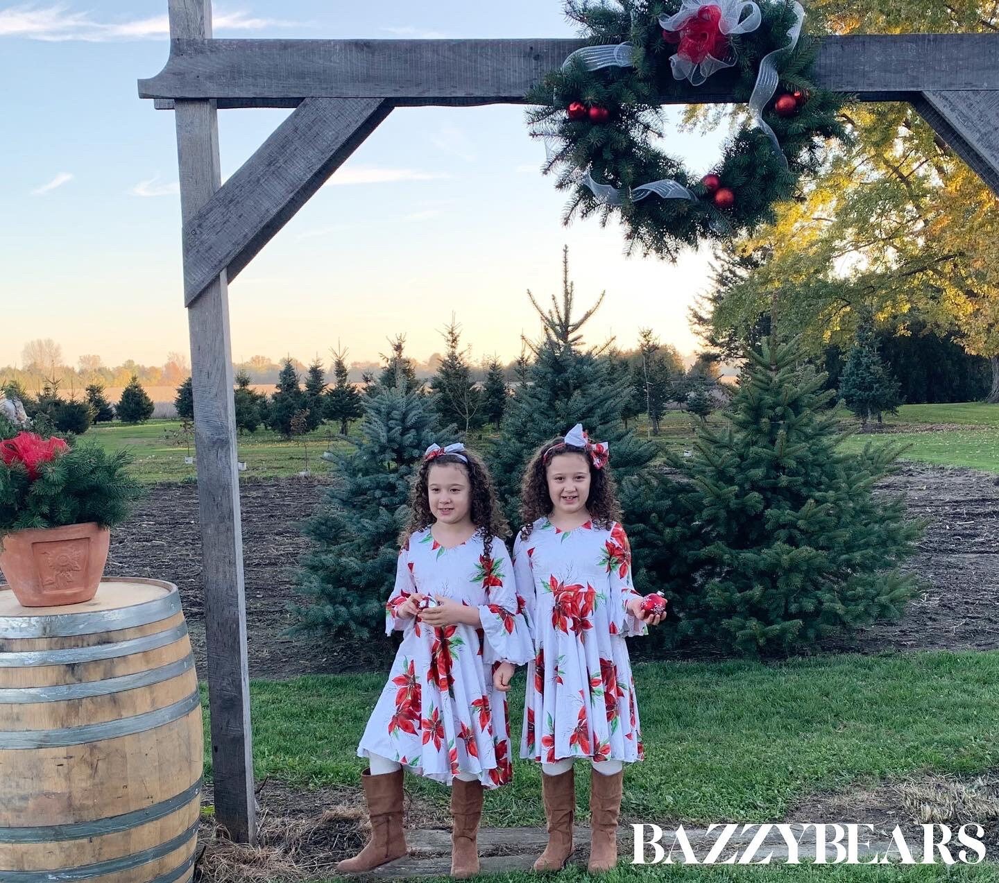Holiday Dress, Christmas Dress, Girls Red Dress, Velvet Dress, Christmas gifts, Girls holiday dresses, Christmas Shoot, christmas gift
