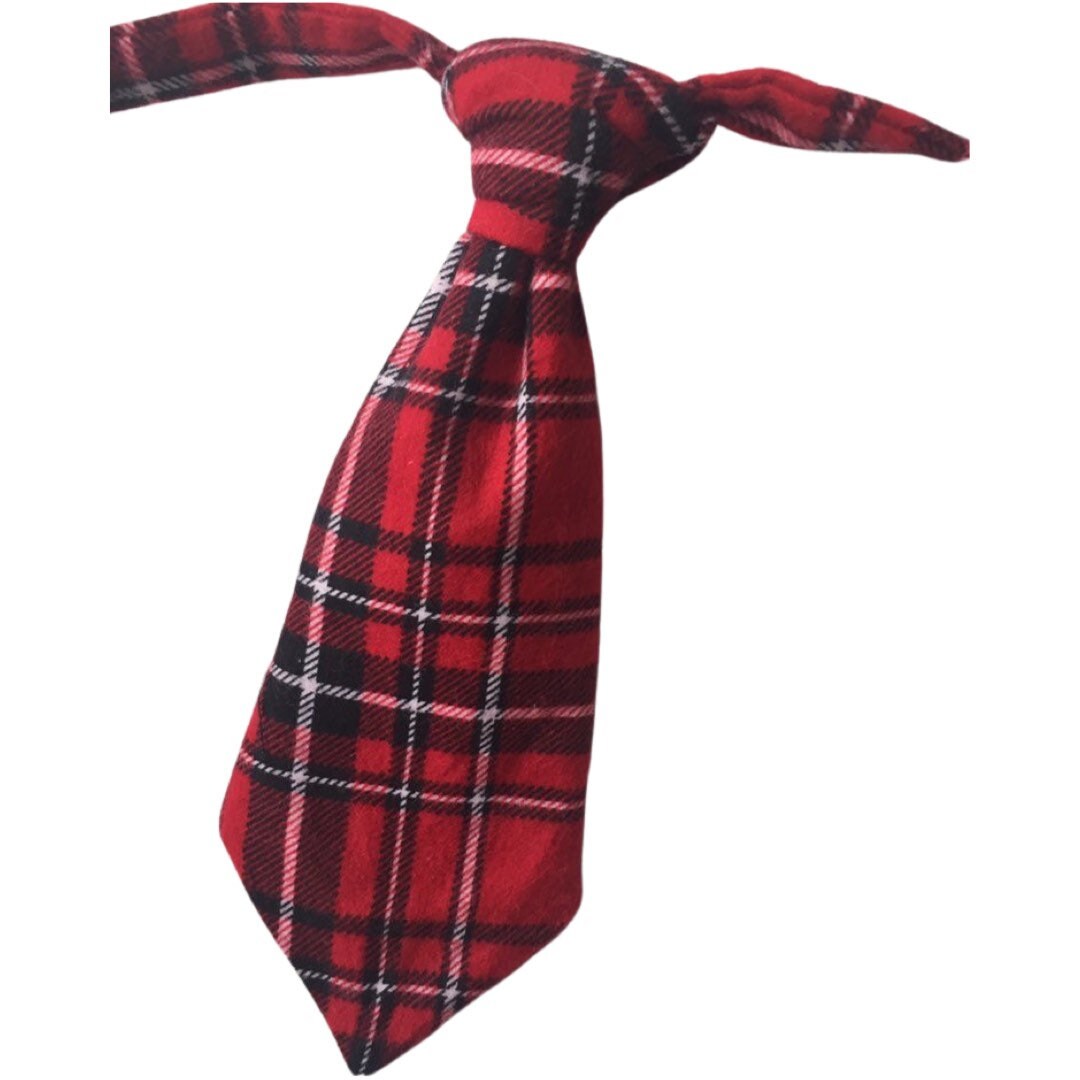 Royal Stewart Tartan Tie, Holiday Red Plaid Tie, Christmas Photo Prop Tie, Taylors Tartans necktie