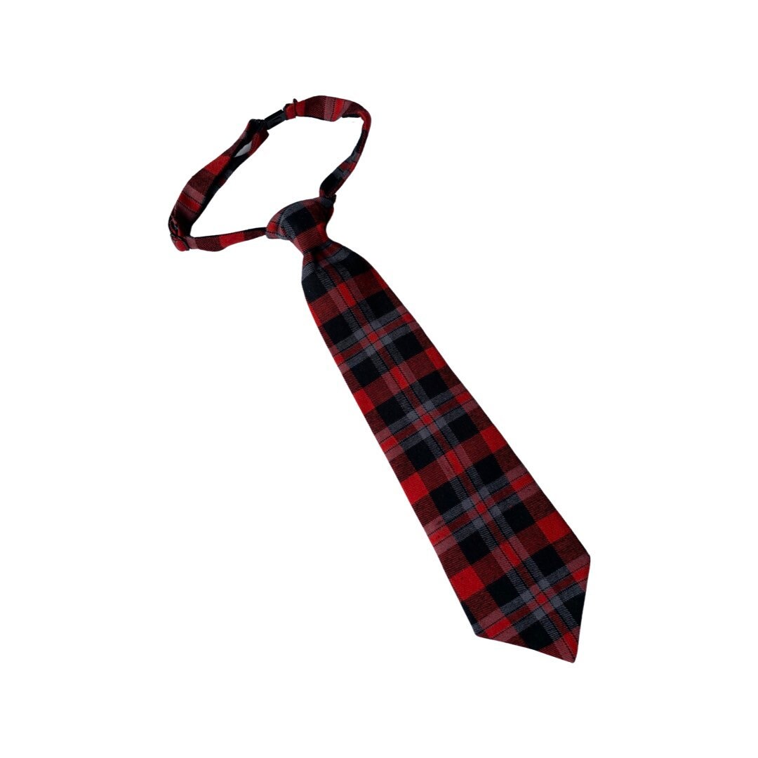 Christmas Tartan Plaid Boys Necktie~Pretied