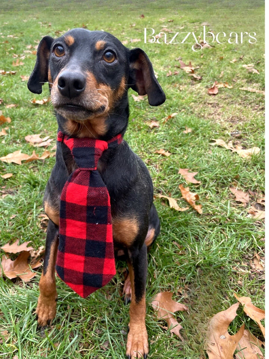 Dog ties, human looking dog ties, smart dog ties, Christmas dog tie, Christmas dog neck tie, Christmas necktie for pets