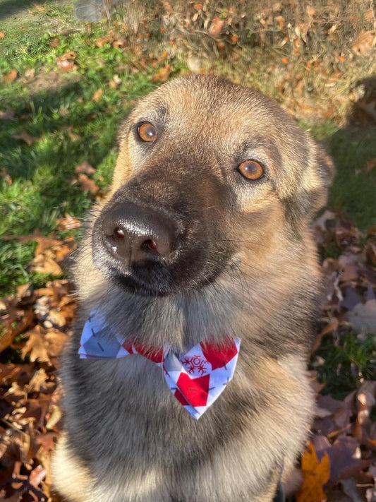 Christmas Pet Bow Tie - Snowflake - Christmas Dog Bow Tie - Cat Bow Tie - Christmas Cat Bow Tie - Slides Over The Collar - argyle