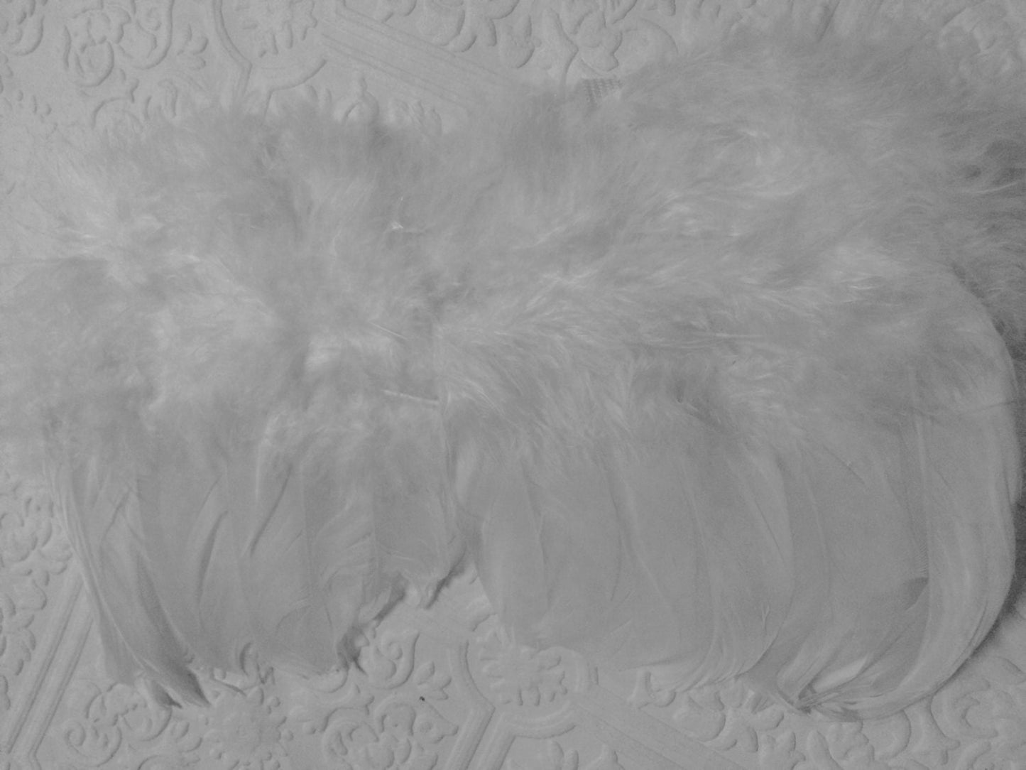 Baby wings, white wings, baby headband and wings, photography prop, angel wings and headband, angel wings, baby photography wings, halo