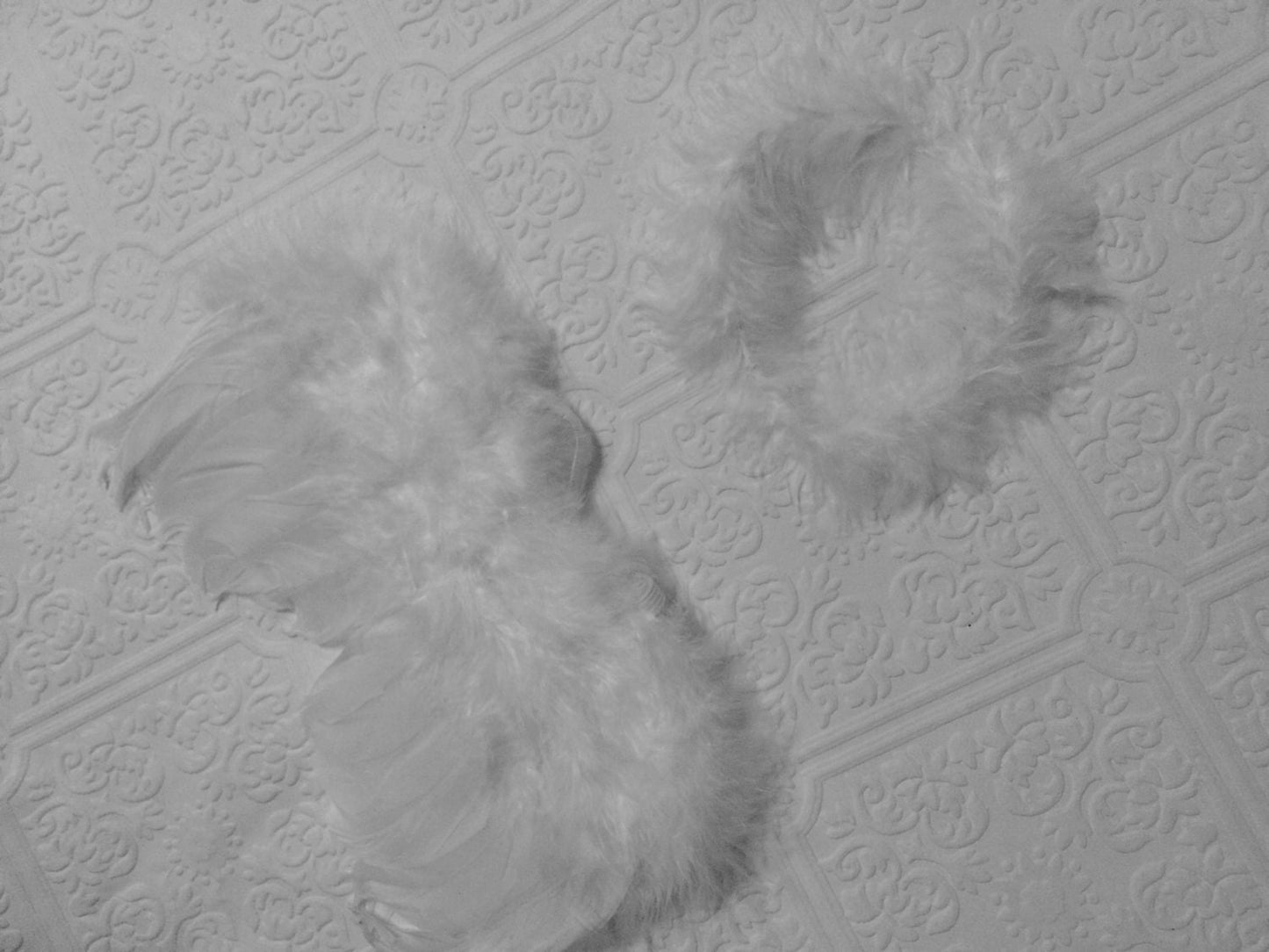 Baby wings, white wings, baby headband and wings, photography prop, angel wings and headband, angel wings, baby photography wings, halo
