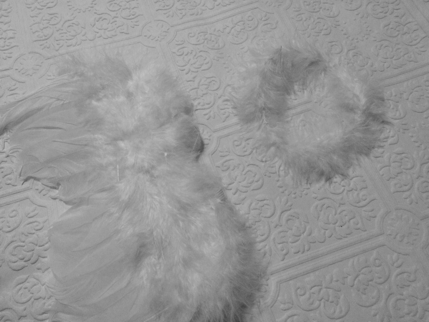 Baby wings, white wings, baby headband and wings, photography prop, angel wings and headband, angel wings, baby photography wings, halo