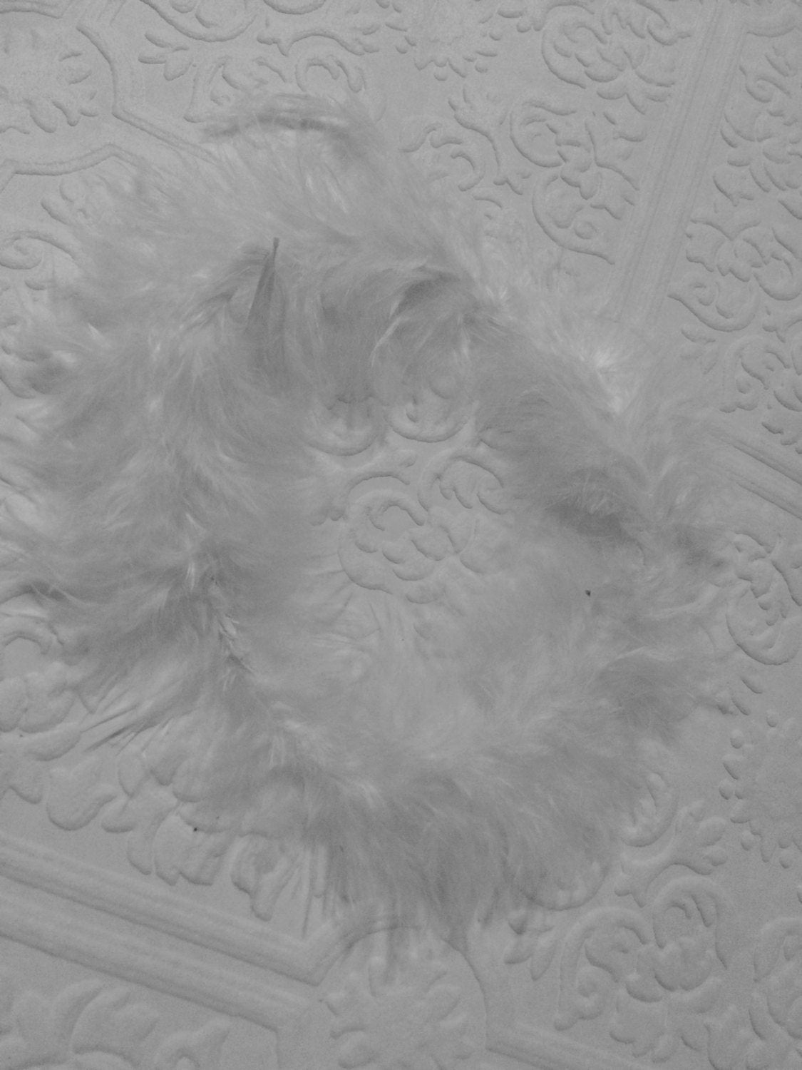 Baby wings, white wings, baby headband and wings, photography prop, angel wings and headband, angel wings, baby photography wings, halo