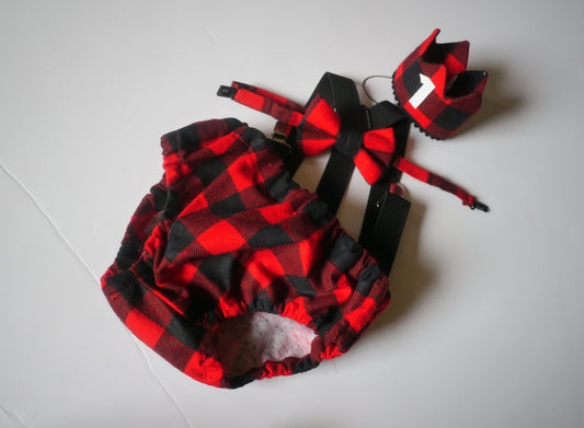 Lumberjack Diaper Cover, Buffalo Plaid First Birthday Outfit, Wild One Cake Smash, First Birthday Boy